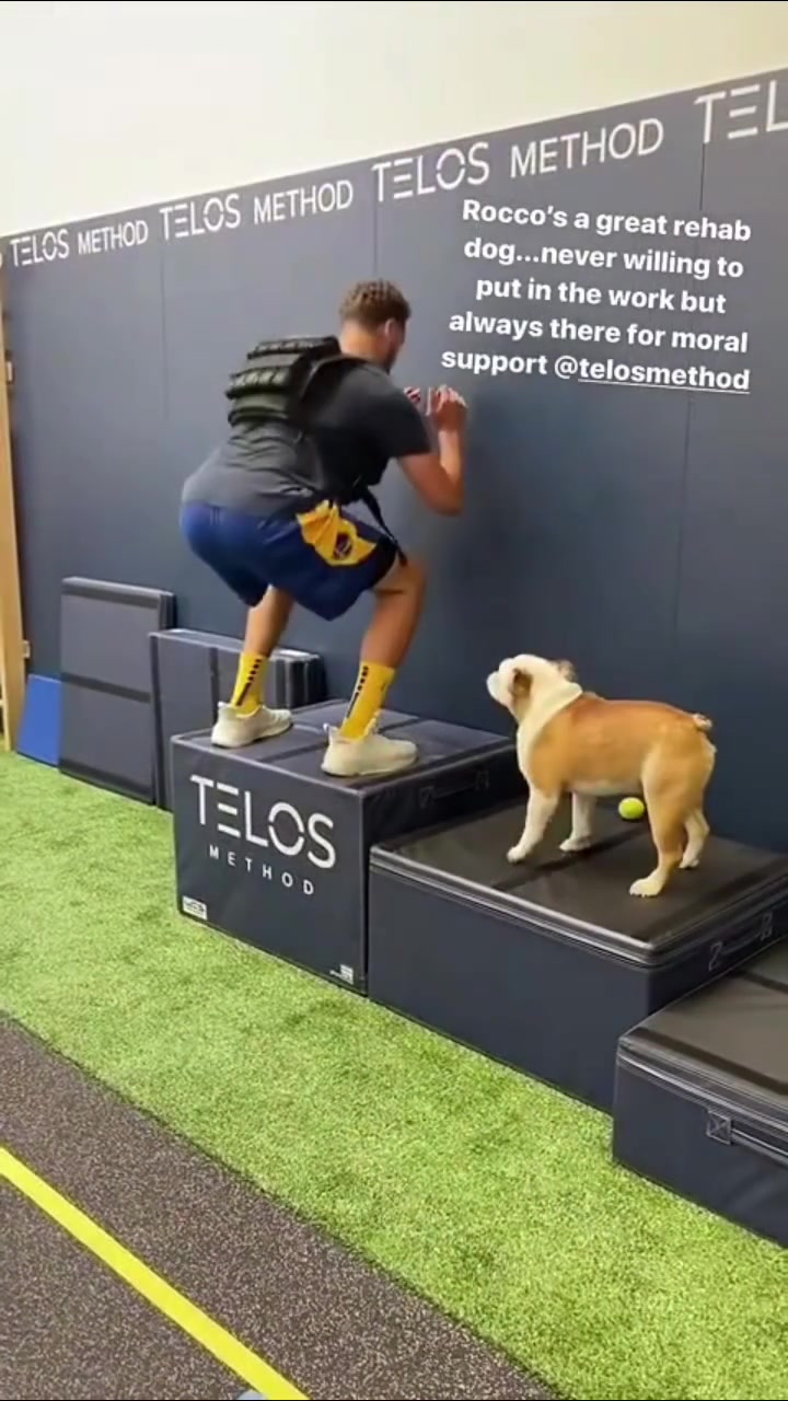 NBA最出名的小狗湯普森愛犬Rocco近期離世