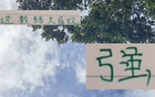 強(qiáng)觀大局！國(guó)安主帥輪換險(xiǎn)致敗，多樣陣容更勝一籌。