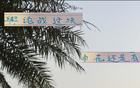 事出反常，申花老謀深算，勝后申訴，輿論戰(zhàn)不簡單。