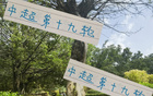 周末申花云南高原賽，阿蘇埃赤道南能否進(jìn)第四球？