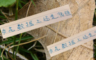 申花領(lǐng)跑榜首，進(jìn)球數(shù)第一，失球倒數(shù)第二少，18輪不?。? title=