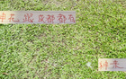 申花引援李可，蓉城租借多特神筆