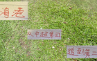 海港近榜首僅差4分，萊昂納多投資值得。
