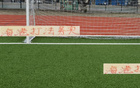 海港務(wù)實(shí)高效，申花攻守失衡。