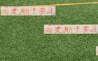 萊奧納多再勝河南，社交發(fā)文如海港8號奧斯卡。