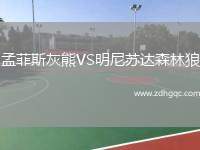 康涅狄克太陽VS菲尼克斯水星