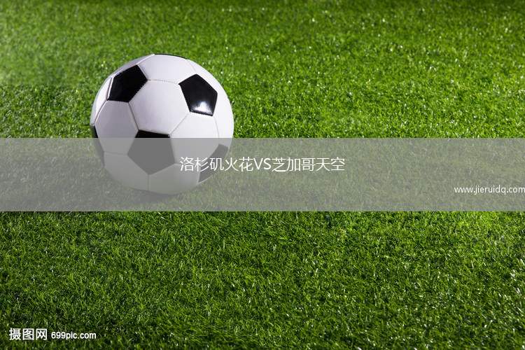 洛杉磯火花VS芝加哥天空