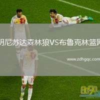 亞特蘭大夢想VS華盛頓神秘人