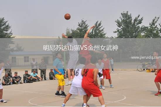 明尼蘇達(dá)山貓VS金州女武神