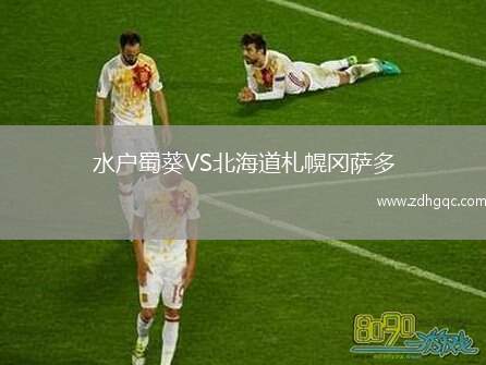 石家莊功夫VS重慶銅梁龍