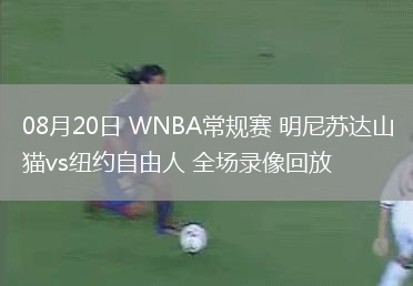 08月20日 WNBA常規(guī)賽 明尼蘇達山貓vs紐約自由人 全場錄像回放
