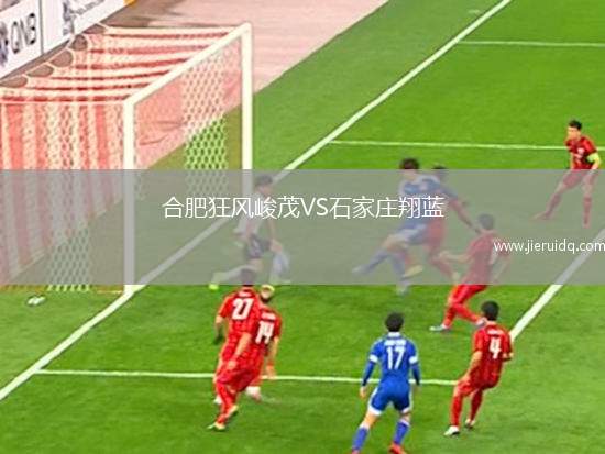 合肥狂風峻茂VS石家莊翔藍