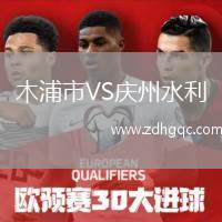 南希爾茲VS桑德蘭