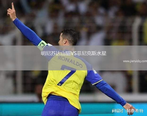 明尼蘇達山貓VS菲尼克斯水星
