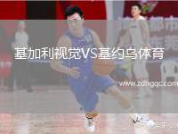 格雷米奧VS博塔弗戈