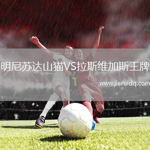 明尼蘇達山貓VS拉斯維加斯王牌