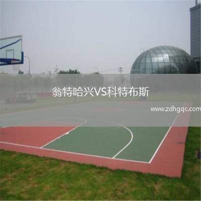 盧頓VS托特納姆熱刺