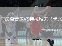 中非VS尼日爾