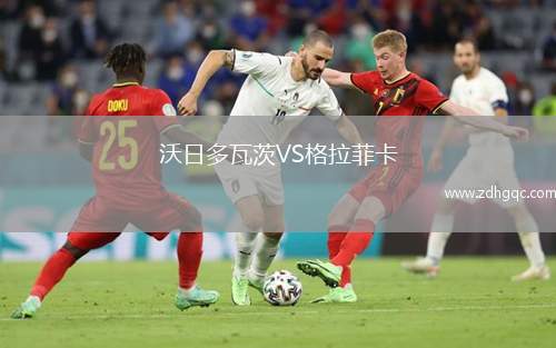馬格德堡VS沃爾夫斯堡