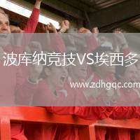 日林斯基VS布拉迪斯拉發(fā)