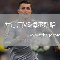 紐卡斯?fàn)柭?lián)VS托特納姆熱刺