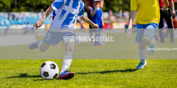 羅森博格VS哈馬比