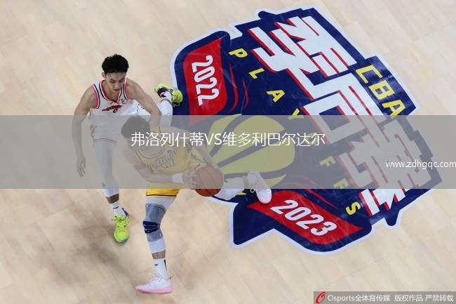 西維勒VS金箭