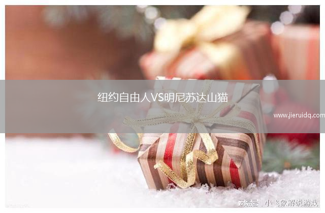 紐約自由人VS明尼蘇達山貓