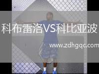 杜海勒VS艾沙哈尼亞