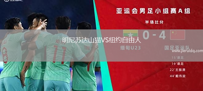 明尼蘇達山貓VS紐約自由人