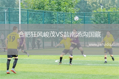 合肥狂風峻茂VS鹽南湯溝國藏