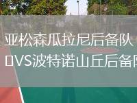德累斯頓迪納摩VS美因茨