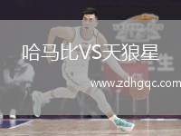 成都蓉城VS河南俱樂部酒祖杜康