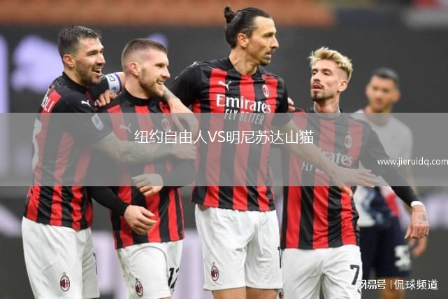 紐約自由人VS明尼蘇達山貓