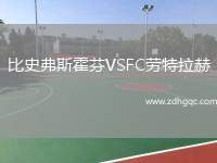 凱澤斯勞滕VS達(dá)姆施塔特